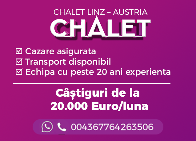 Chalet Linz - Austria